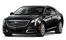 Business Sedan
